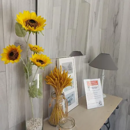 Apartamento Casa En Piedra